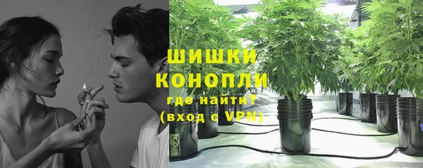 бошки Кострома